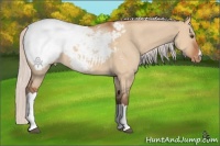 Horse Color:Silver Bay Roan Dun Snowcap 