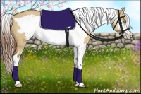 Horse Color:White Spotted Red Dun Splash Frame