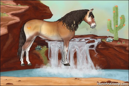 Horse Color:Buckskin Onyx 