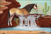 Horse Color:Buckskin Onyx 