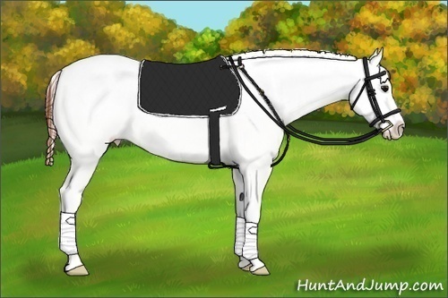 Horse Color:Brown Roan Dun Appaloosa Rabicano 