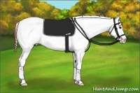 Horse Color:Brown Roan Dun Appaloosa Rabicano 