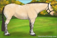 Horse Color:Buckskin Ice Dun Rabicano 