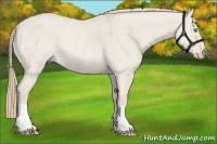 Horse Color:Smoky Creme Dun Rabicano 