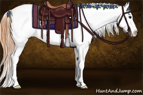 Horse Color:Buckskin Sabino Varnish 