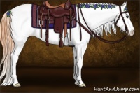 Horse Color:Buckskin Sabino Varnish 