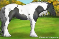 Horse Color:Black Tobiano