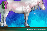 Horse Color:Watercolor White Spotted Brown Pearl