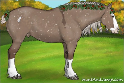 Horse Color:Silver Grullo Splash Appaloosa 