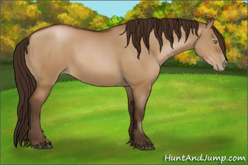 Horse Color:Gray Brown Pearl Dun