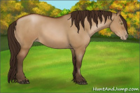 Horse Color:Gray Brown Pearl Dun 