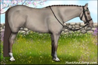 Horse Color:Classic Champagne Dun 