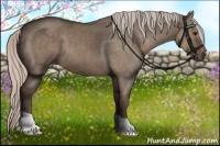 Horse Color:Silver Grullo 
