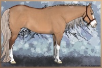Horse Color:Silver Bay Dun Sabino