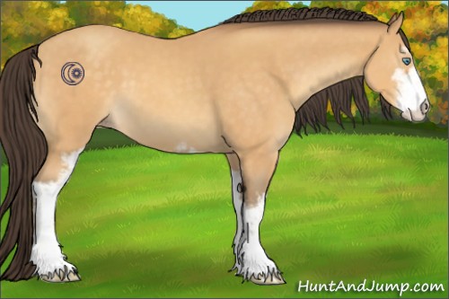 Horse Color:Sable Cream Champagne Sabino 