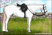 Horse Color:Grullo Appaloosa