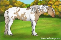 Horse Color:Silver Smoky Grullo Tobiano Appaloosa 