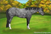 Horse Color:Black Ice 