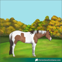Horse Color:Bay Mushroom Tobiano 
