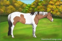 Horse Color:Bay Mushroom Tobiano