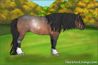 Horse Color:Bay Mushroom 