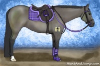Horse Color:Grullo 