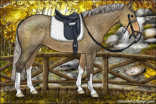 Horse Color:Silver Smoky Grullo 