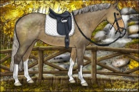 Horse Color:Silver Smoky Grullo 