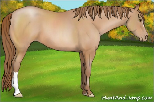 Horse Color:Brown Pearl 