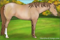 Horse Color:Brown Pearl 
