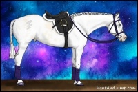 Horse Color:Cremello Dun Sabino