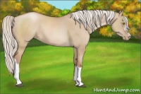 Horse Color:Silver Grullo Pearl