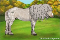 Horse Color:Silver Grullo Ice Rabicano