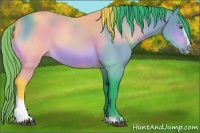 Horse Color:Watercolor Bay Sabino