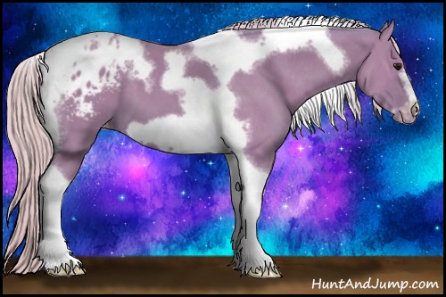 Horse Color:Watercolor Silver Black Tobiano Frame Appaloosa 