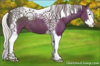 Horse Color:Silver Black Sabino Splash Tobiano 