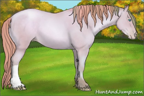 Horse Color:Watercolor Amber Cream Champagne Pearl 