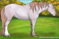 Horse Color:Watercolor Amber Cream Champagne Pearl 