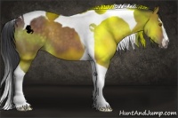 Horse Color:Brown Sabino Tobiano