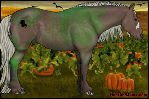 Horse Color:Silver Black 