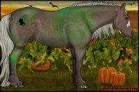 Horse Color:Silver Black 