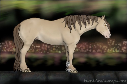 Horse Color:Classic Cream Champagne Sabino 