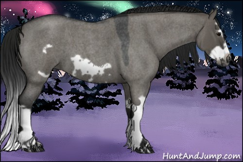 Horse Color:Gray Grullo Roan Splash Frame