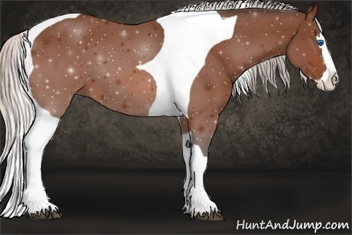 Horse Color:Silver Bay Splash Tobiano 