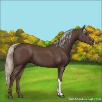 Horse Color:Silver Black 