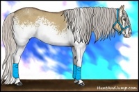 Horse Color:White Spotted Silver Brown Dun