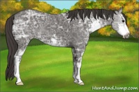 Horse Color:Smoky Black Ice Sabino 