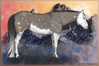 Horse Color:Grullo Sabino Splash