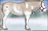 Horse Color:White Spotted Silver Grullo Splash 