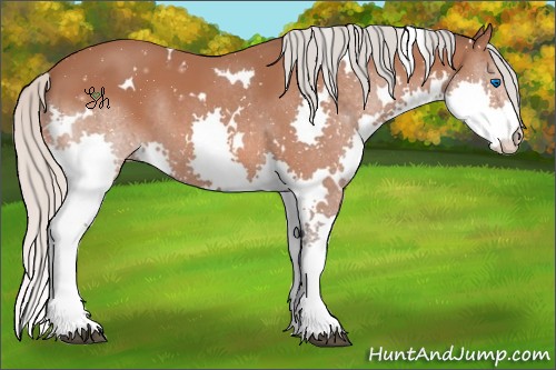 Horse Color:White Spotted Silver Bay Splash 